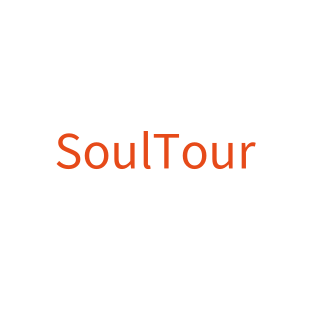 SoulTour_第10类商标转让